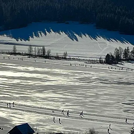 شقة فندقية Kolbitsch Mit Seeblick